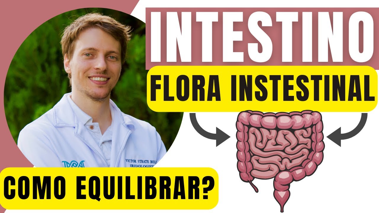 🔴INTESTINO. Como Equilibrar a Flora Intestinal?