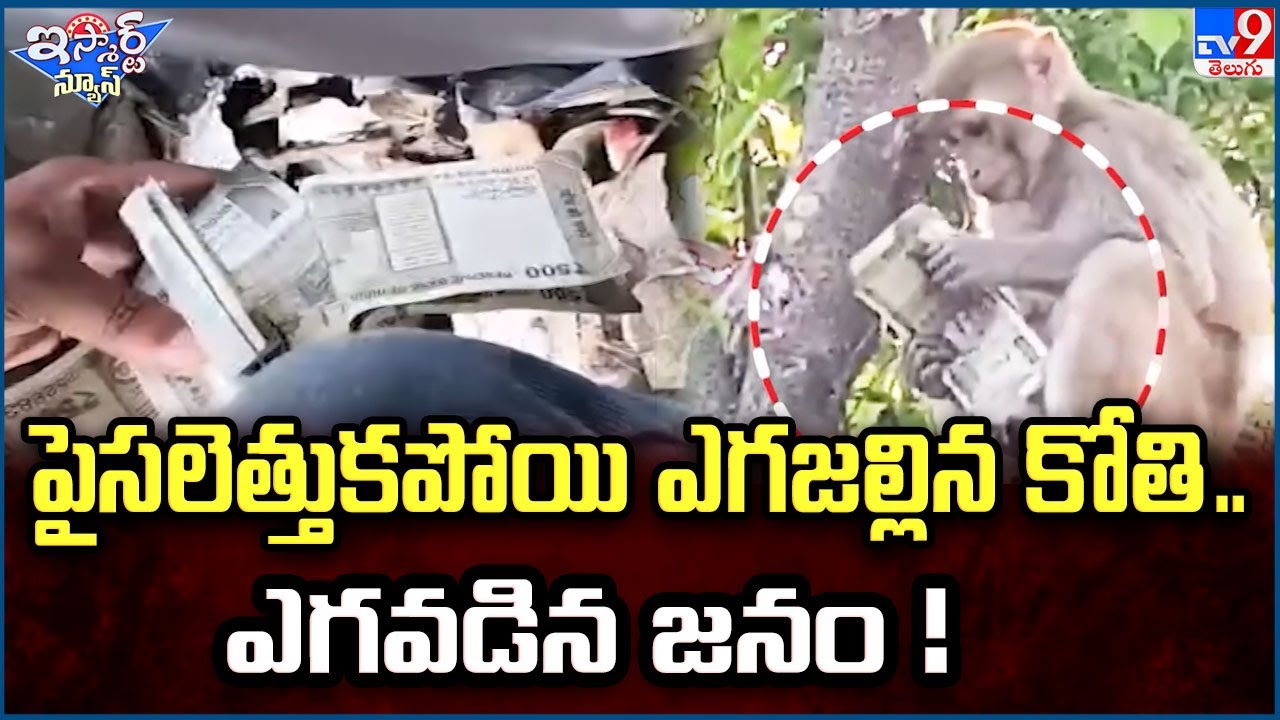 iSmart News : పైసలెత్తుకపోయి ఎగజల్లిన కోతి.. ఎగవడిన జనం ! | Uttar Pradesh - TV9