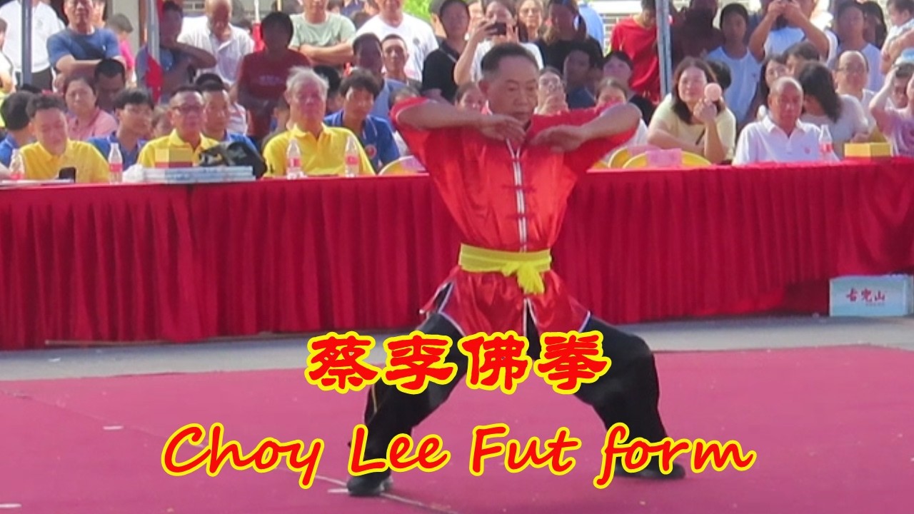 蔡李佛拳, 七十岁老拳师, Choy Lee Fut form, 70 years old master.
