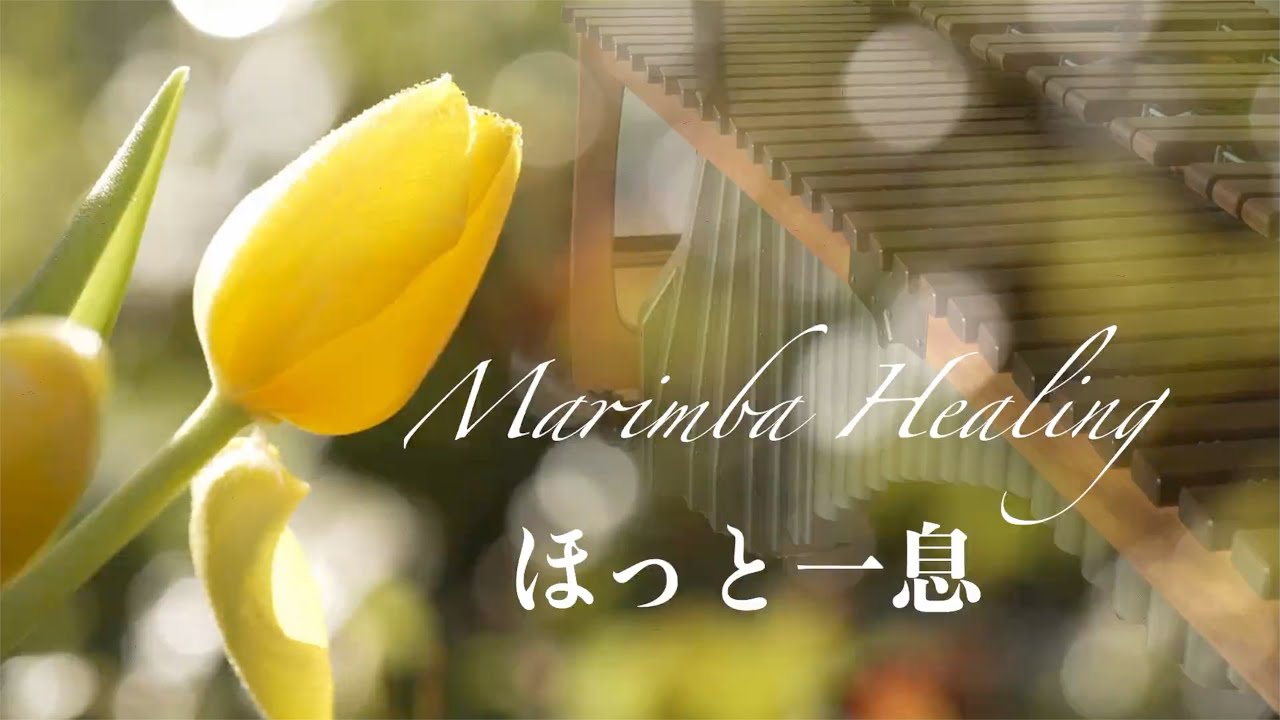 マリンバの響きに包まれる｜ヒーリングミュージック healing music｜癒しのひと時 ｜睡眠｜６０分  ※ヘッドホン・イヤホン・外部スピーカー推奨