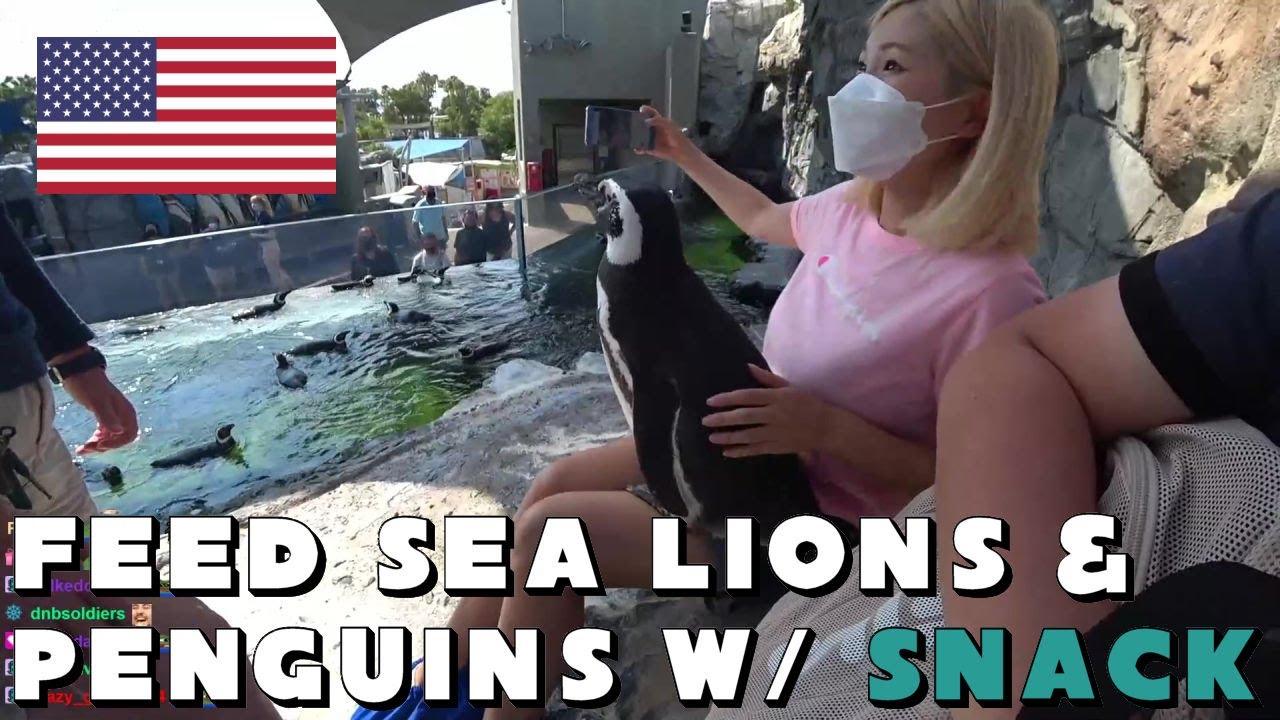 [Jul 15th, '21] Aquarium of the Pacific in Long Beach with Snack