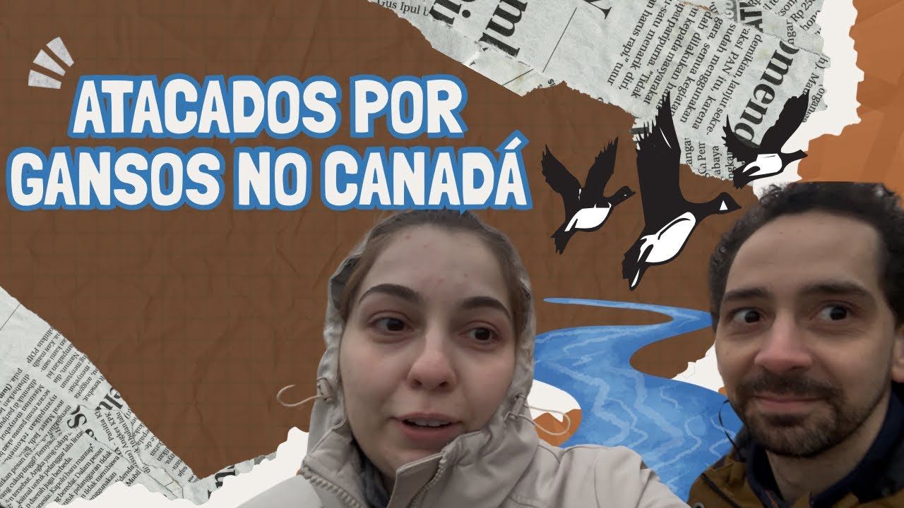 DESPEDINDO das VISITAS e ATACADOS por GANSOS no PORT DALHOUSIE 