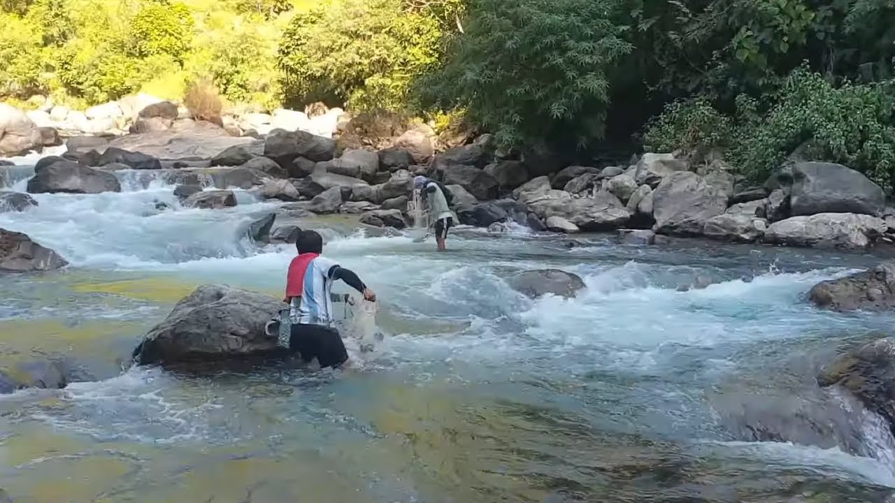 TWO BROTHERS CATCHING HIMALAYAN TROUT WITH HANDMADE CAST NET | FISHING IN SMALL RIVER OF NEPAL |