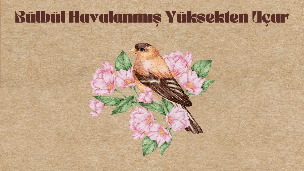 Derd'Ali - Bülbül Havalanmış Yüksekten Uçar (Lyric Video)