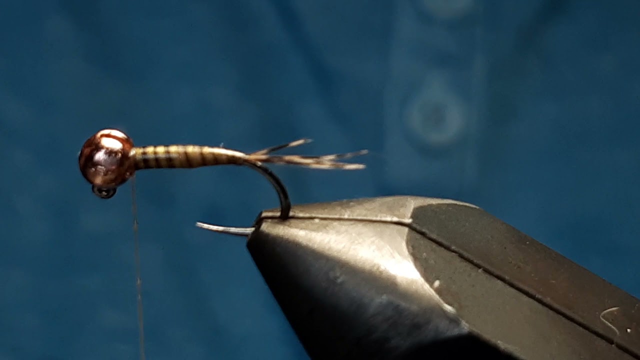 Nimfa z quila/ Quill nimph