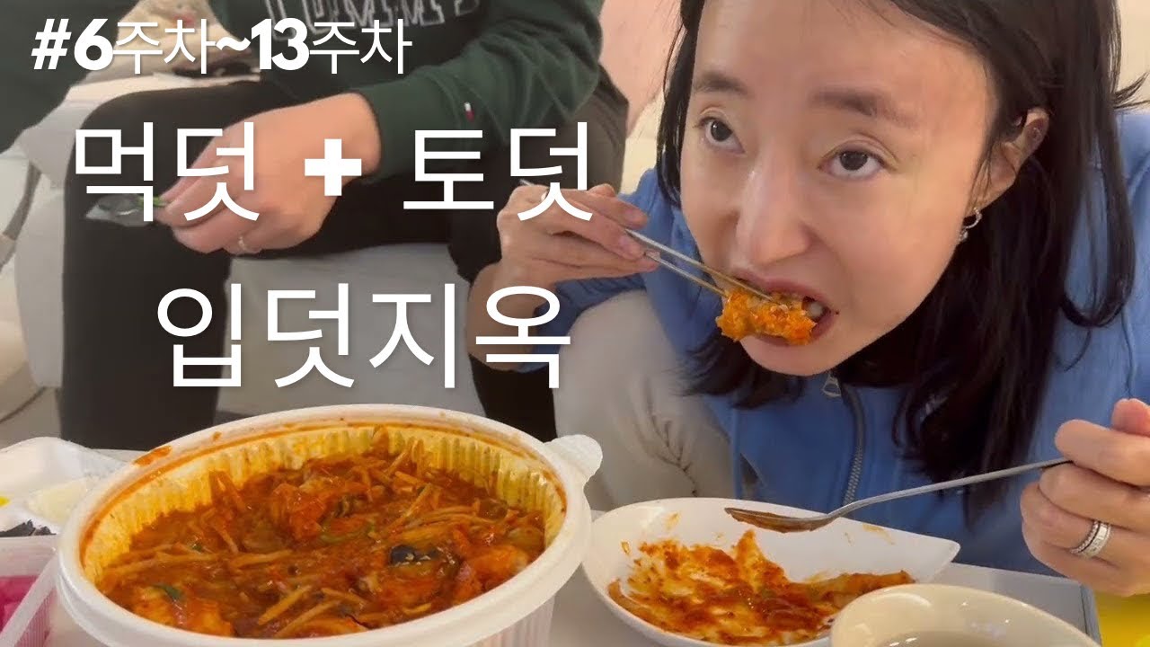 6~13주차 감기 먹덧 토덧 입덧 한꺼번에 오는 임신초기