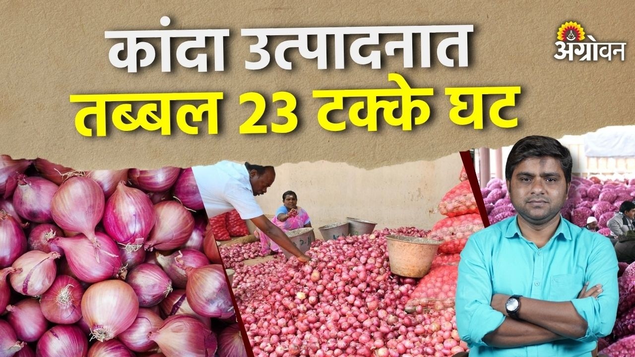 Onion Rate: कांदा उत्पादनातील घटीनंतरही भाव मात्र दबावातच | Agrowon