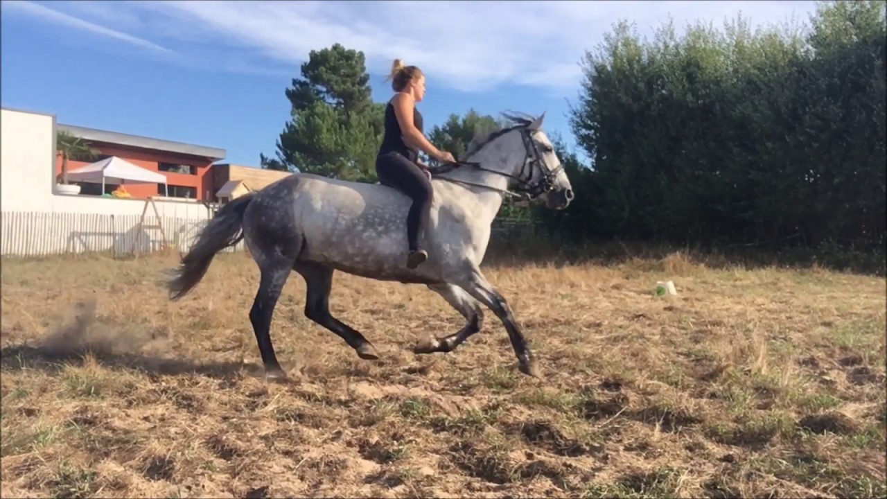 De l'ombre à la lumière
