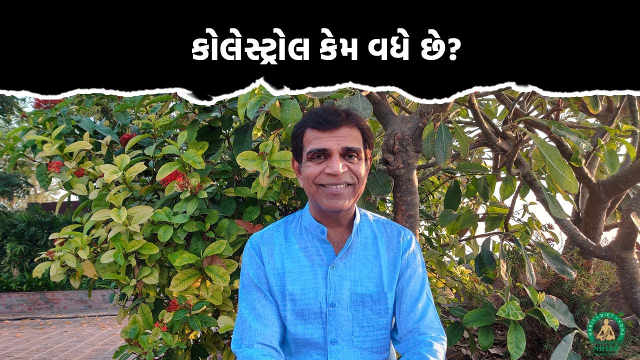 કોલેસ્ટ્રોલ કેમ વધે છે ? Why does cholesterol increase?