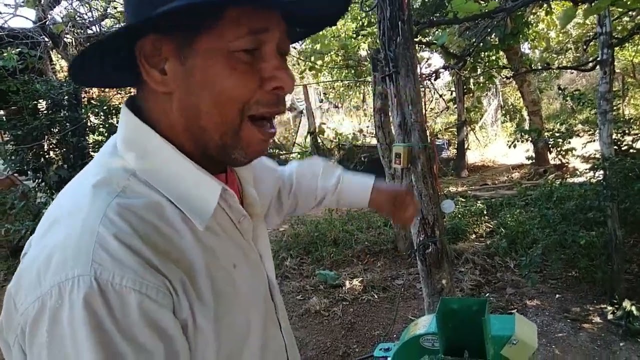 VELHO QUIM NA LIDA DA RO&Ccedil;A.MOSTRA COMO FAZER FARINHA DE MANDIOCA