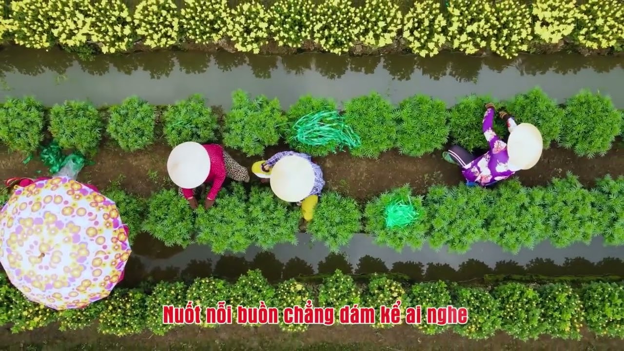 Bến sông chờ đò I Bolero I Unlimit Music