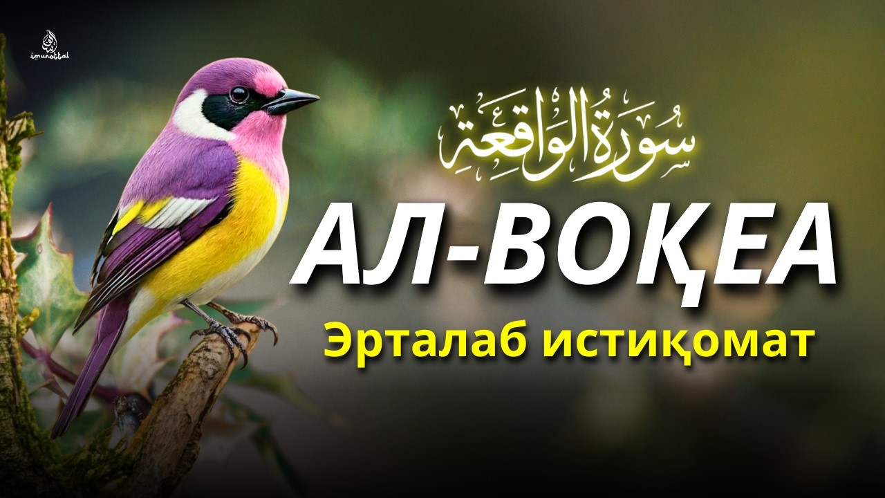 Ал-Воқиа сураси | Сокин қироат | Узлуксиз фаровон ризқ ва баракали бойлик сири