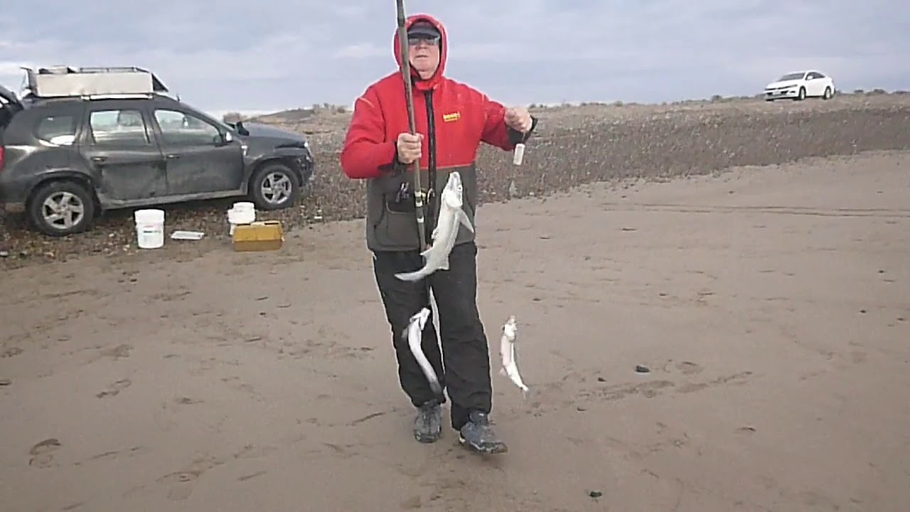 Pesca de Pejerreyes Escardones y Panzones en la Playa de Arena Bahía San Blas 29 de Junio de 2019