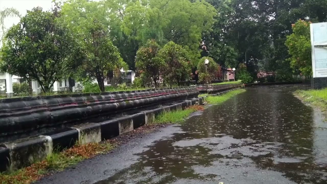 A relaxing rainfall to fall asleep to