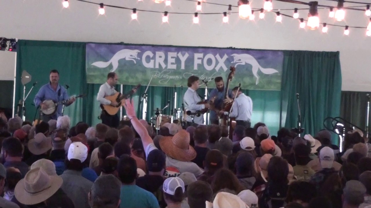 Tavelin McCourys~Greyfox ~ 2017
