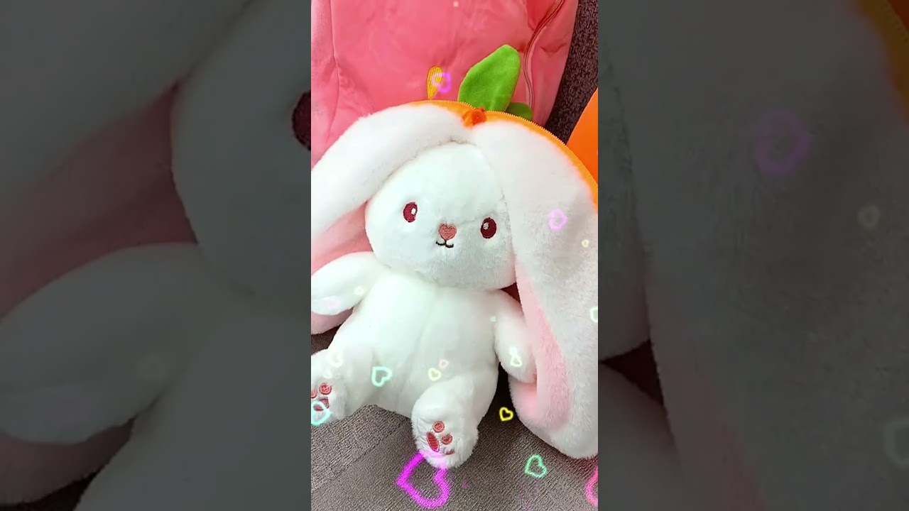Can You Find the Bunny Strawberry & Carrot Plush Hide and Seek!