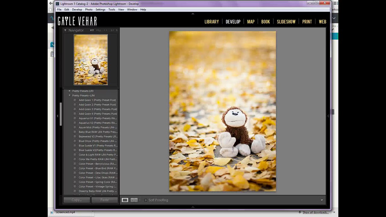 3 Steps to Transfer Your Lightroom Presets to a New Computer