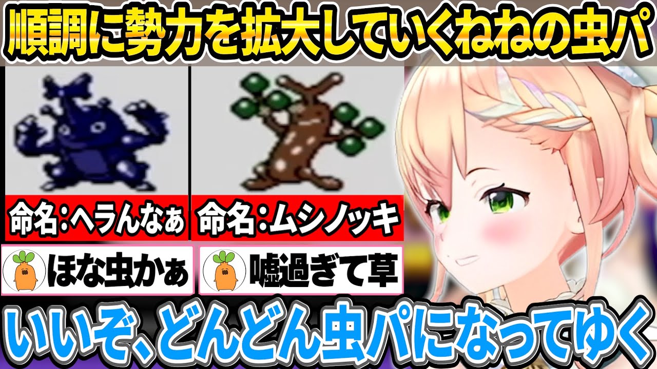 順調に虫ポケ(一部例外)を集め勢力を増していくハイパーねねちの虫パーティ【ホロライブ/桃鈴ねね/切り抜き】