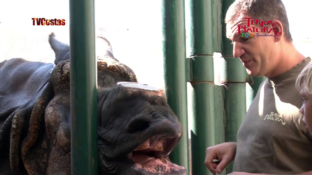 Terra Natura y Aqua Natura Benidorm 2015 completo