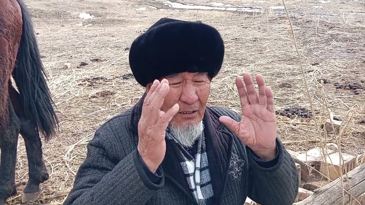 #Токтогул шаары жер талаш.  Бир жердин канча ээси бар. 22 жылдан бери таппай жатат.