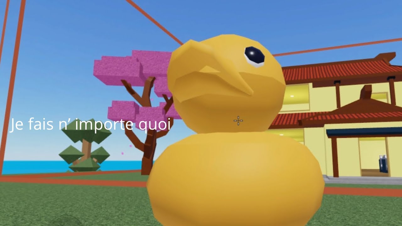 Je sais pas ce que je fais