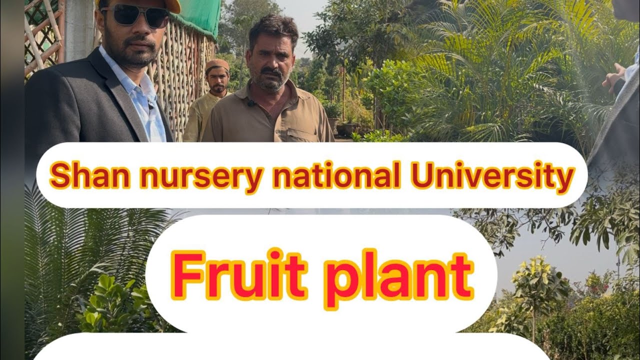 #National university ￼ Shan nursery #lifeisbutadream #lifeisbutadream #