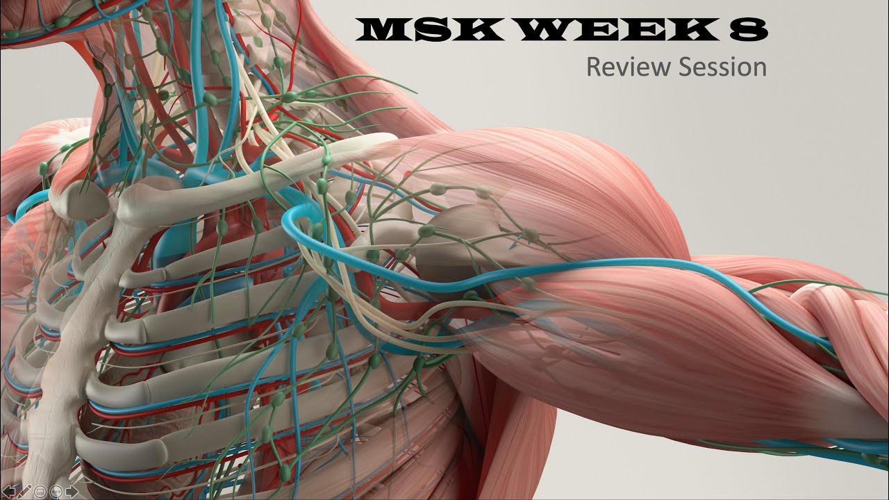 MSK Week 8 - Review Session