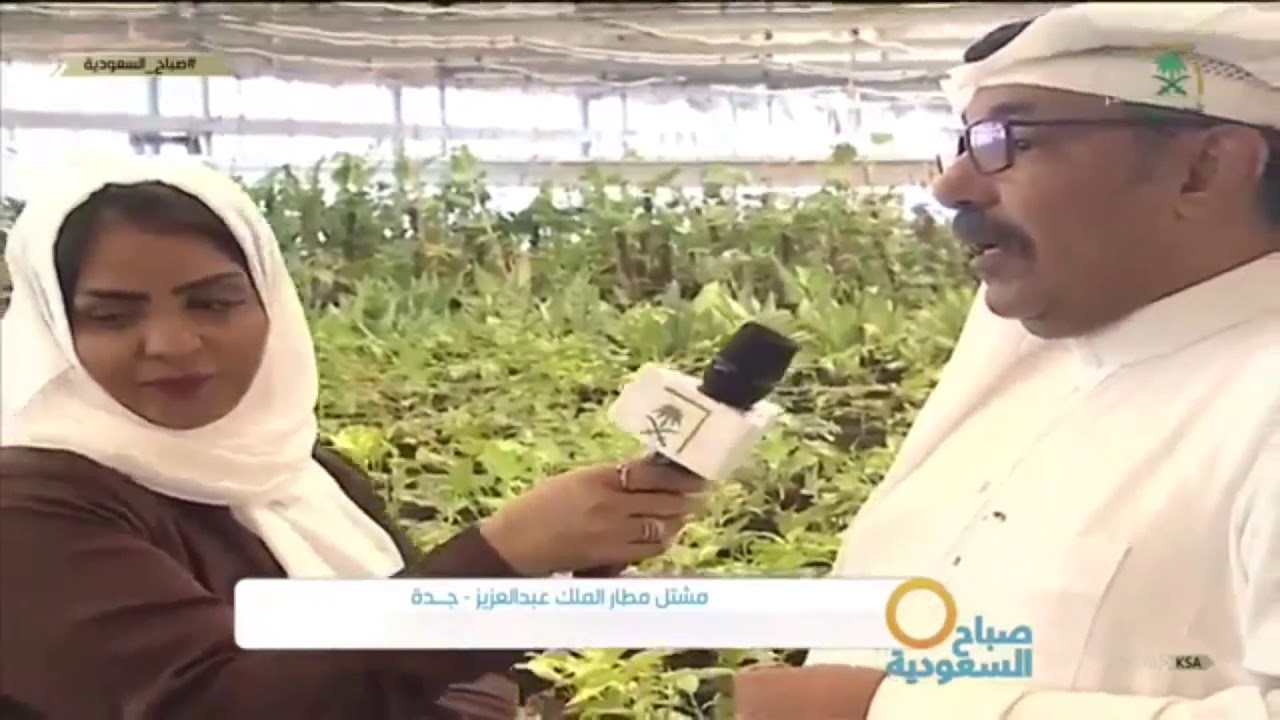 مشتل مطار الملك عبدالعزيز في 