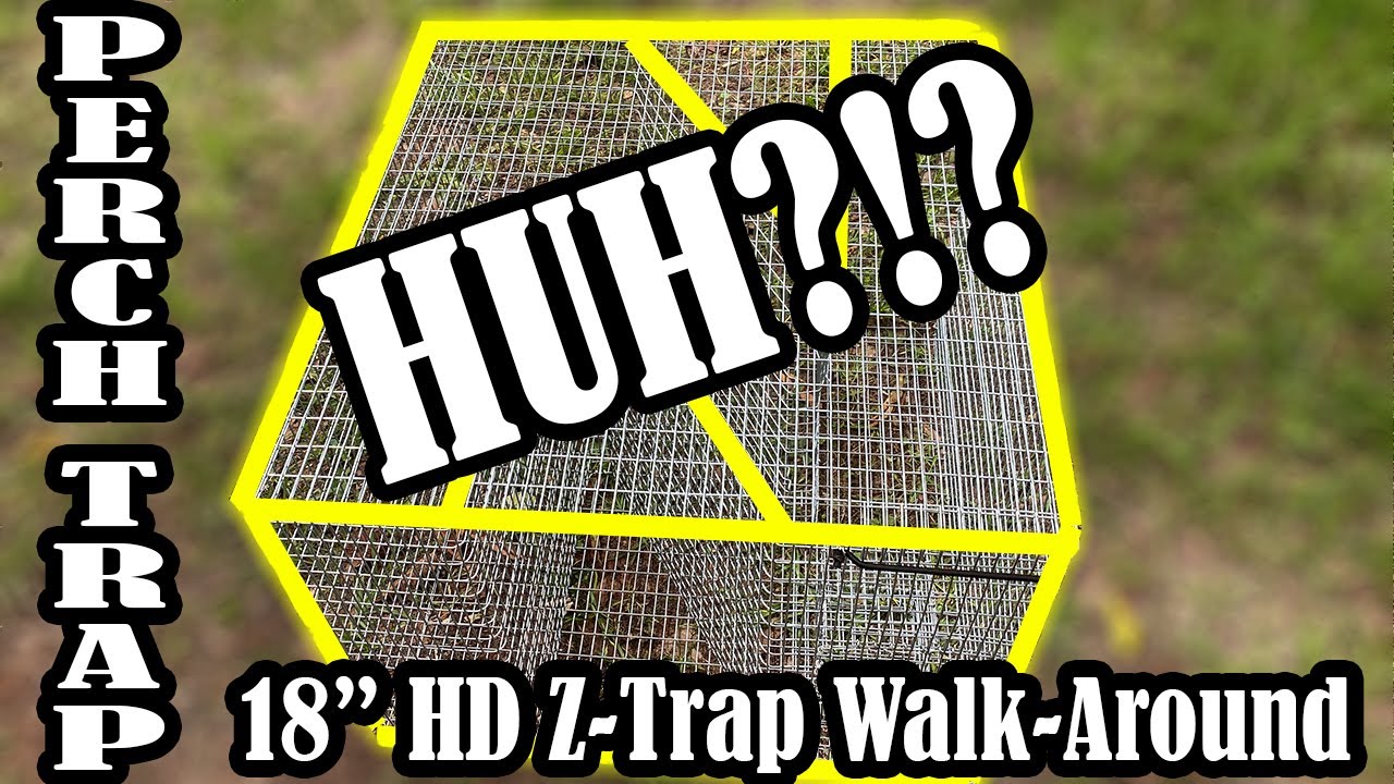 Bluegill Trap - Bream Trap - Pin Fish Trap - 18 inch HD Z-Trap Walk Around