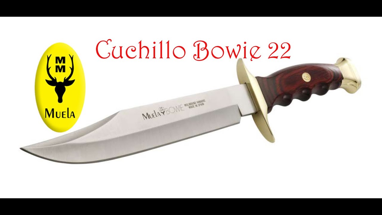 Cuchillo Bowie 22 Muela, revisión e historia