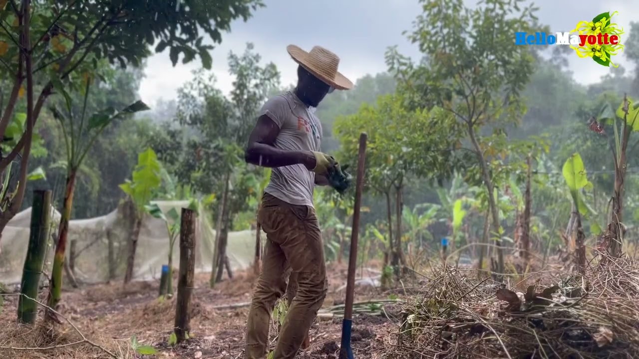 Merci au département de Mayotte ❤️ cœur sur vous ❤️❤️❤️