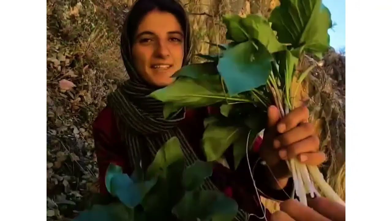 A brave girl gathering vegetables in Mountain in a forest surviving in jungle 