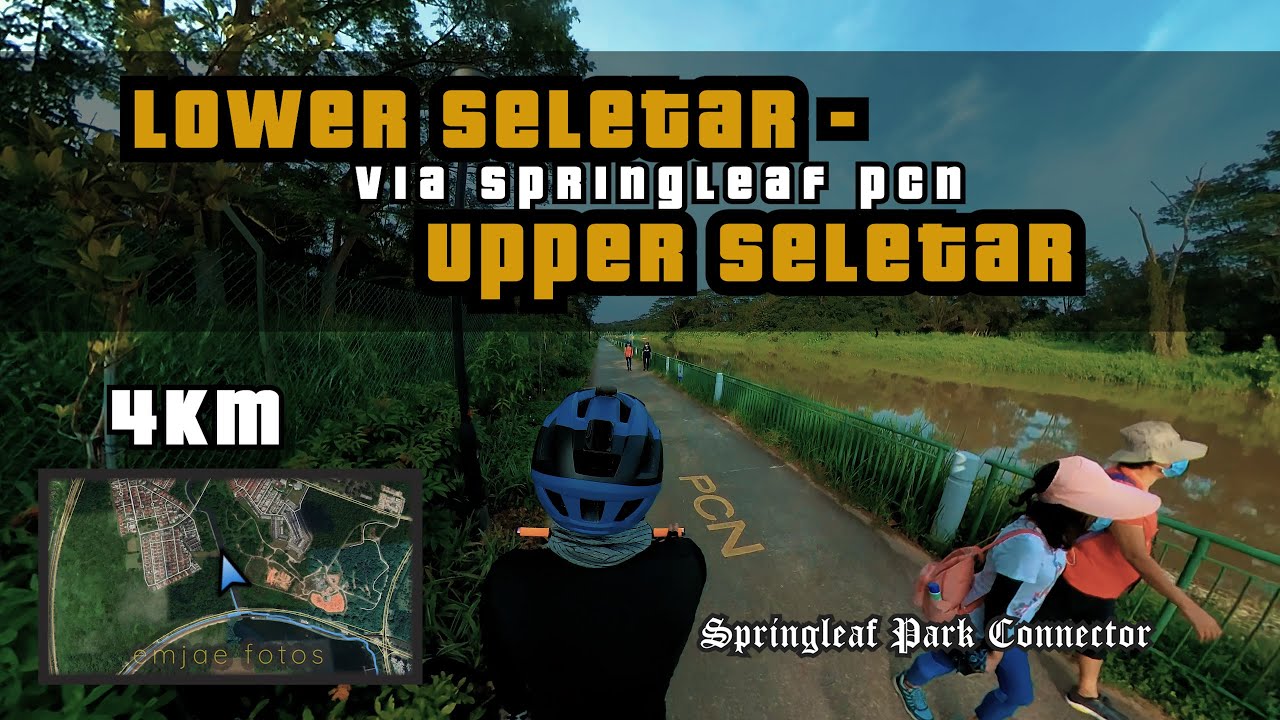 4KM Lower Seletar to Upper Seletar Reservoir Park via Springleaf Park Connector | Cycling Singapore