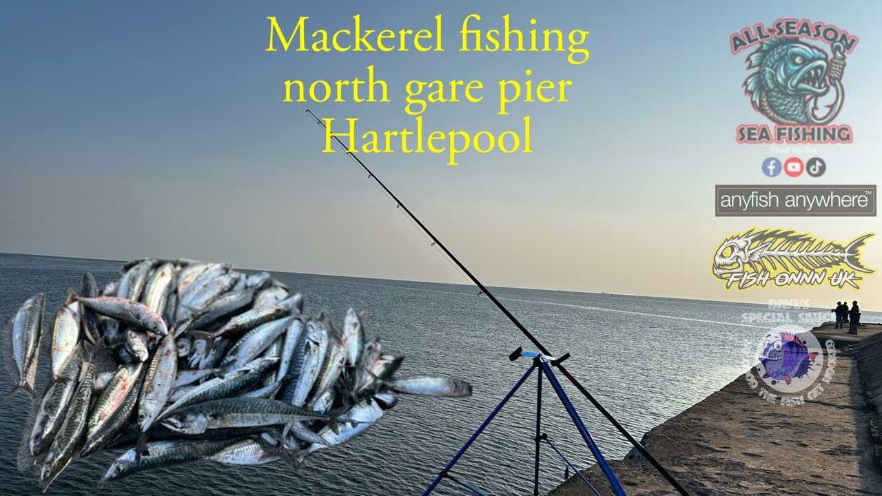 Mackerel fishing north gare pier Hartlepool