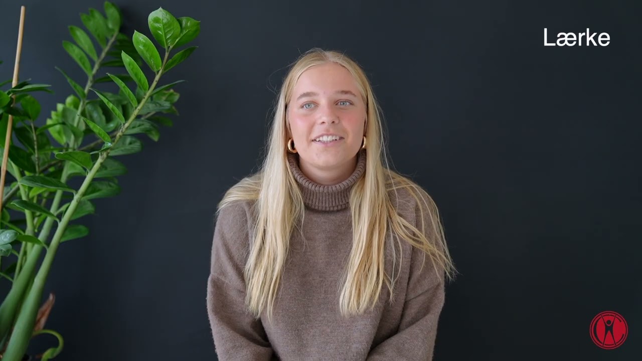 Gode råd til dit efterskoleår.