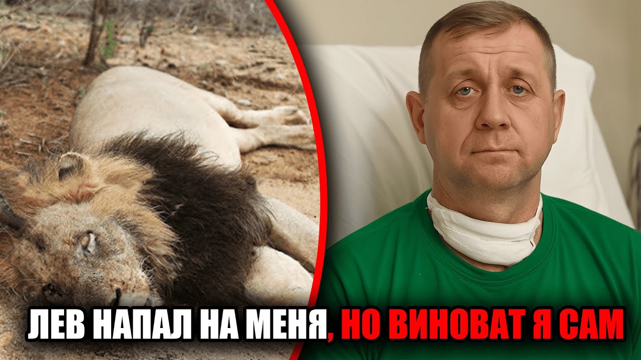 После жуткого нападения льва директор «Тайгана» сказал то, чего никто не ожидал