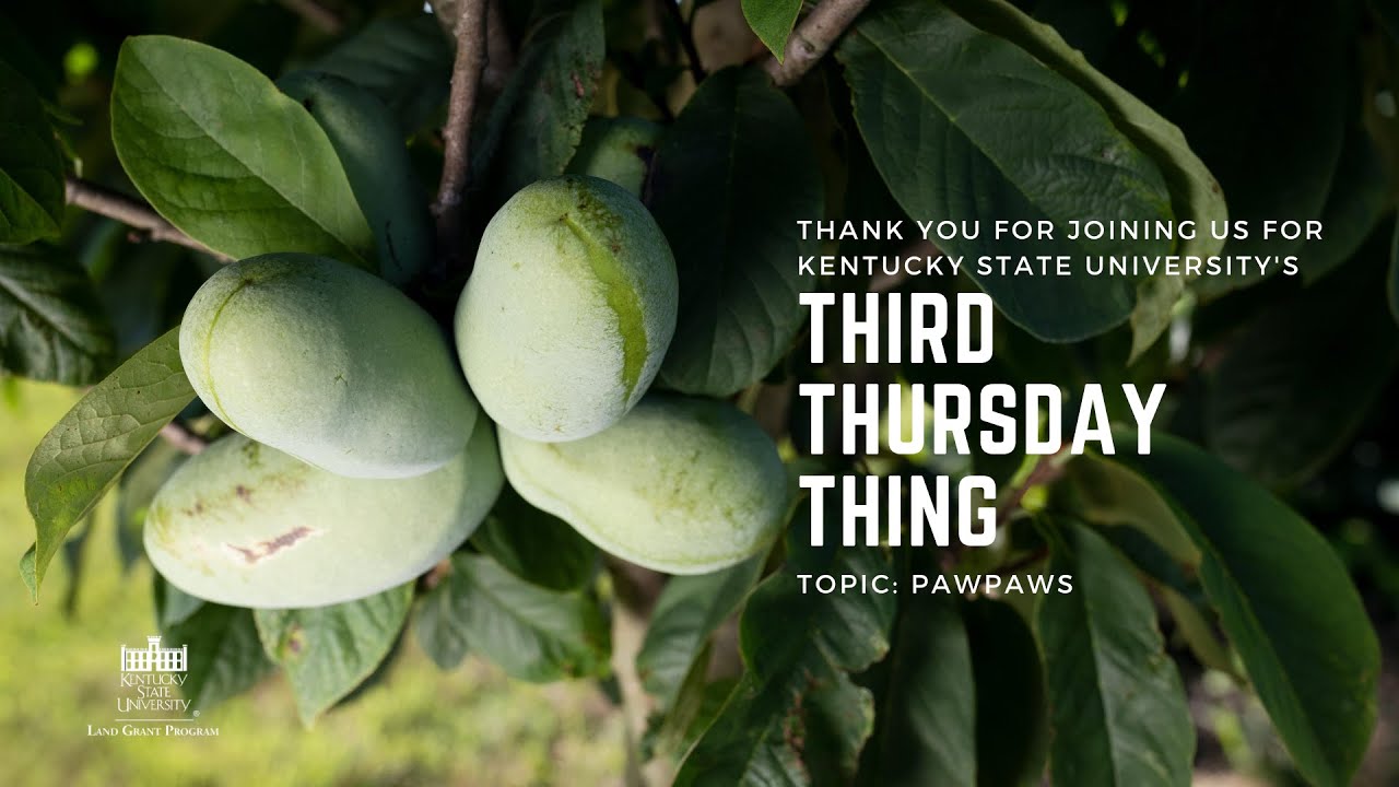 2020 National Pawpaw Day - Presented by KYSU Ag