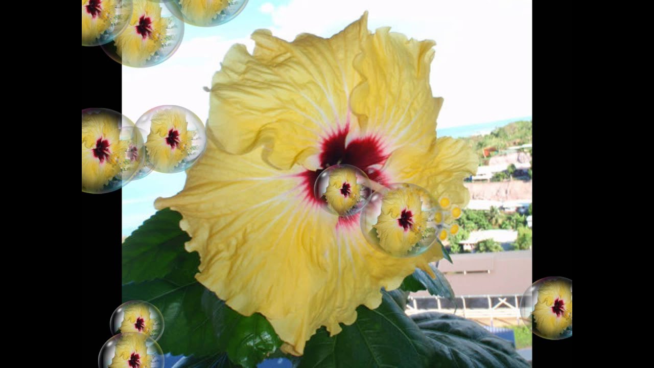 Akino 2014 Fuga one taka