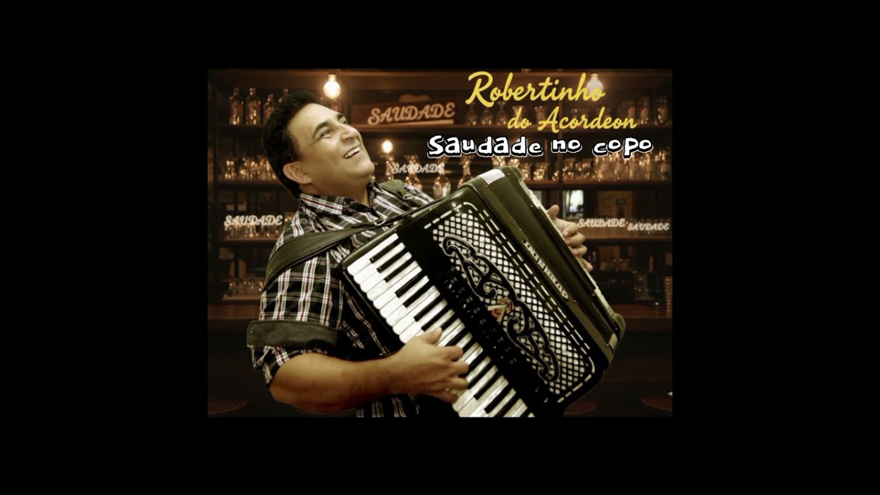 SAUDADE NO COPO  ROBERTINHO DO ACORDEON 