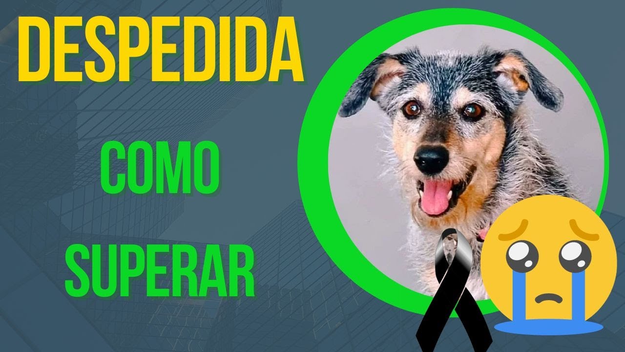 MOMENTO TRISTE! SENTIMENTO DE PERDA