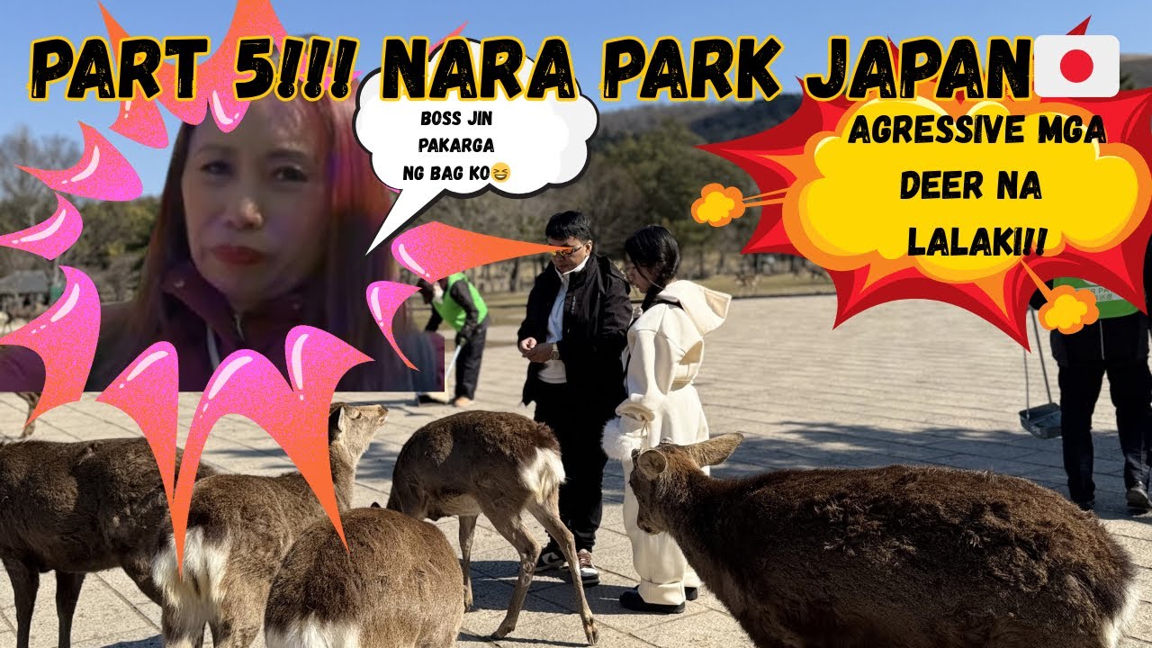 KINAGAT NG DEER  PWET NAMIN NI ATE ASH😱😱‼️🇯🇵🇯🇵PERA NG JAPAN NALITO AKO 😱‼️😆🇯🇵