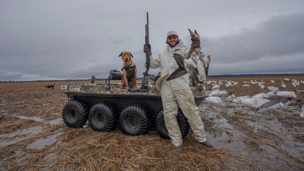 Snow Goose Hunting Arkansas Flooded Rice Fields! (Catch Clean Cook)