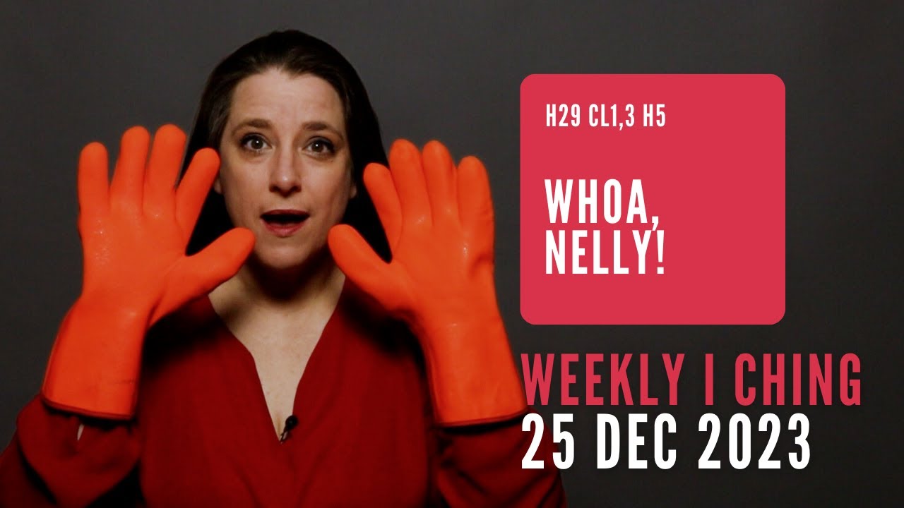 Whoa Nelly! // Weekly I Ching 25-31 Dec 2023 // Hexagram 29 & 5