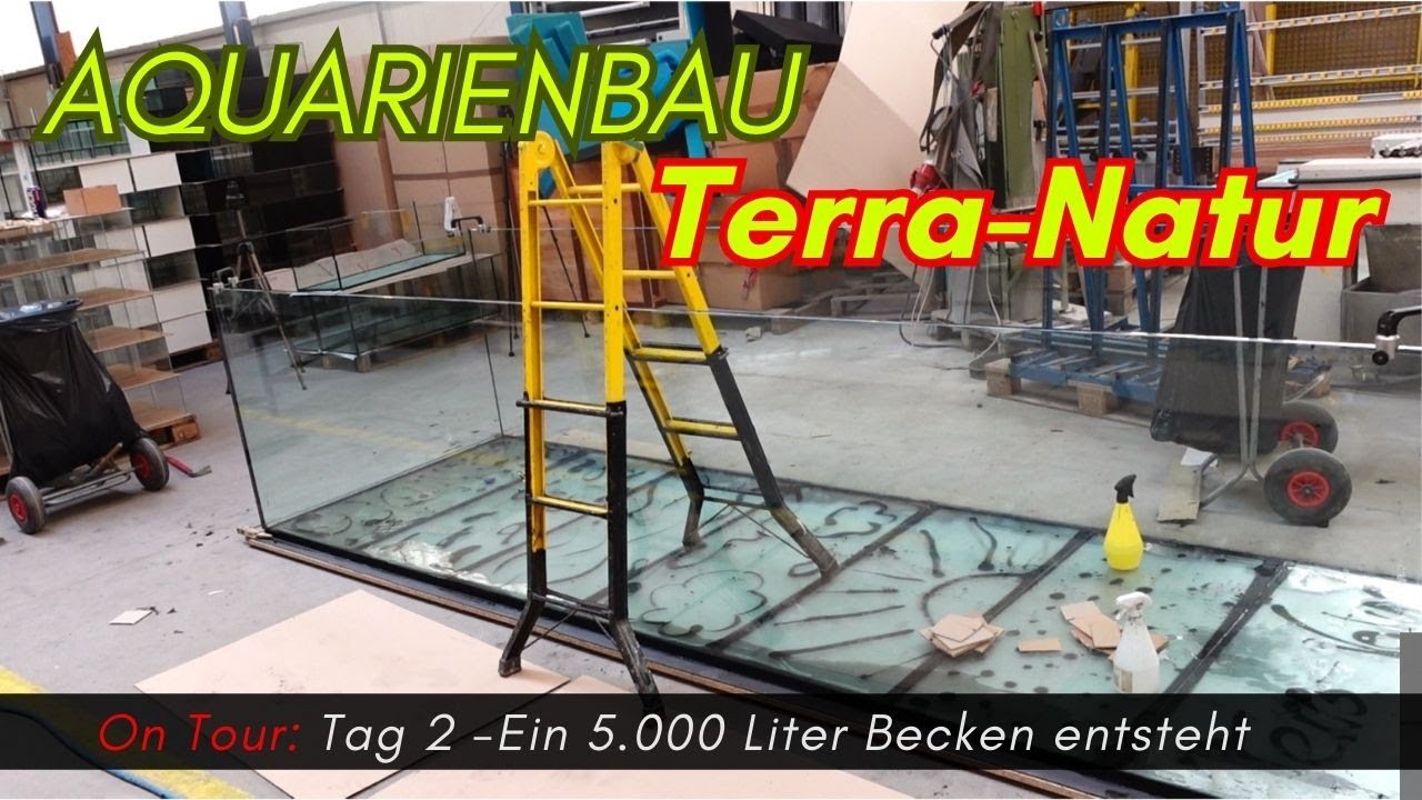 Aquarienbau Terra-Natur Tag 2 - Aquarienbau XXL, Eindrücke Vor-Ort #vlog #aquaristik