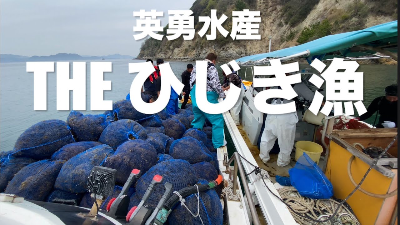 超高速漁船で潜りひじき漁の視察に行ってきた！