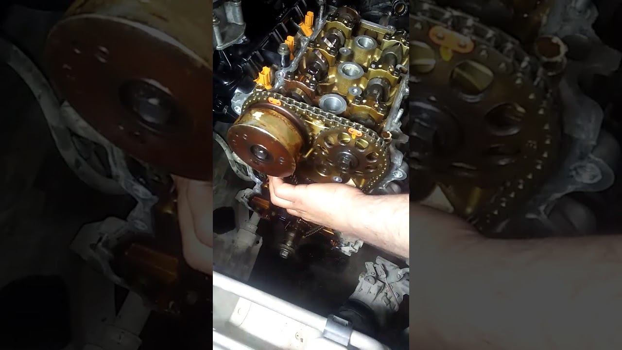 Vitz Timing