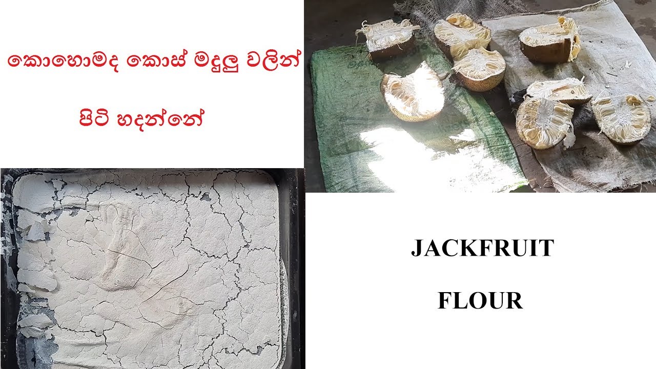 කොස් මදුලු වලින් පිටි හදමු | How to make Jack fruit Flour