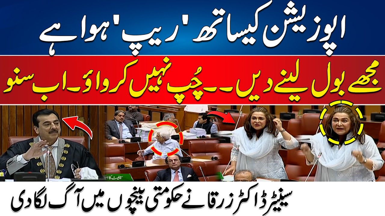 Budget Session 2024 - PTI's Dr Zarqa Blasting Speech In Senate | Govt Benches On Fire | 24 News HD