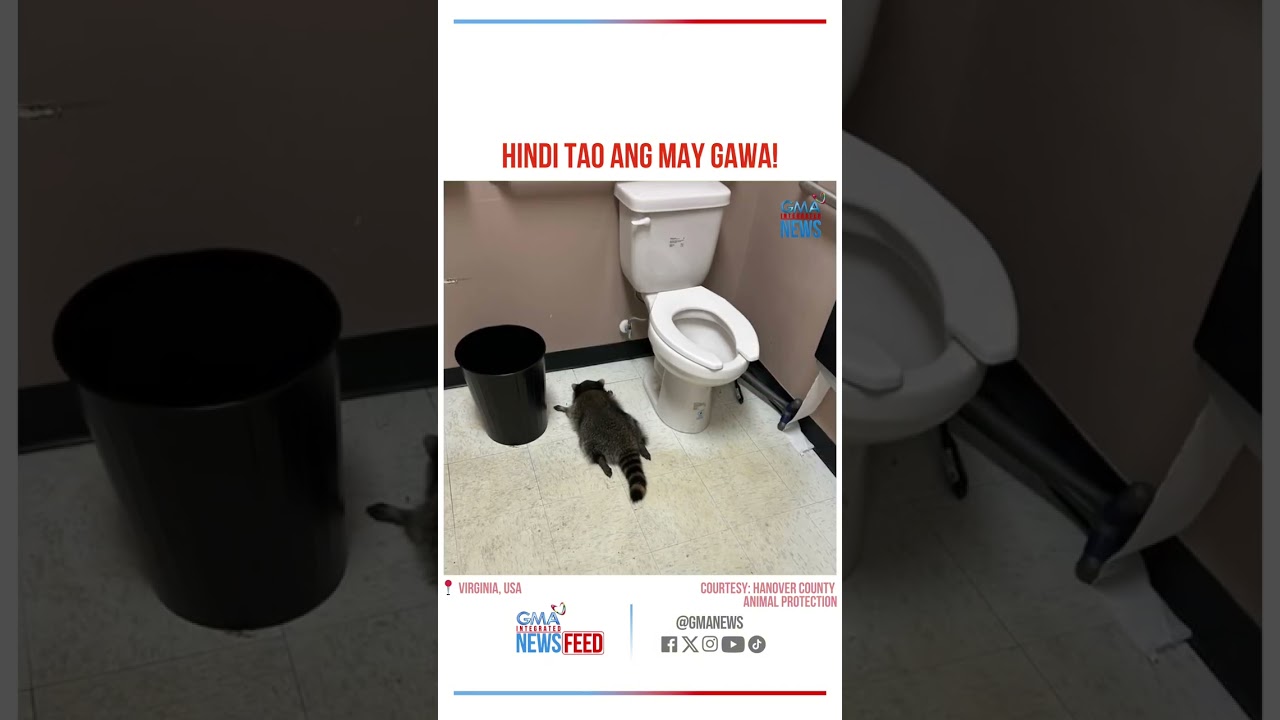 Nanloob sa liquor store at nagpakalasing, hindi tao?! | GMA Integrated Newsfeed Bytes