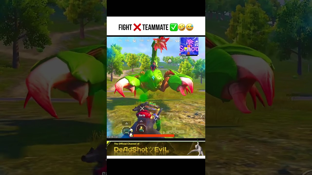 #exe